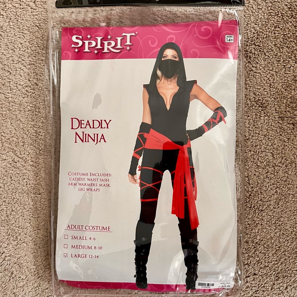 Women’s “Deadly Ninja” Halloween costume